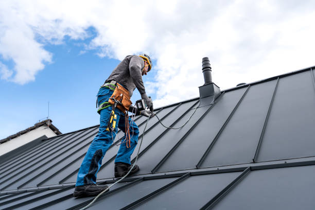 Best Sheet Metal Roofing  in Springdale, MD